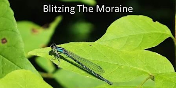 Blitzing the Moraine!