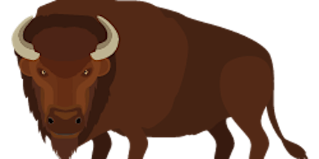 Wilder Blean Online Talk: Bison Ecology tickets