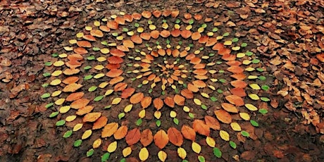 Land Art. El Arte y la Belleza de las Hojas en Otoño. Taller Creativo. primary image