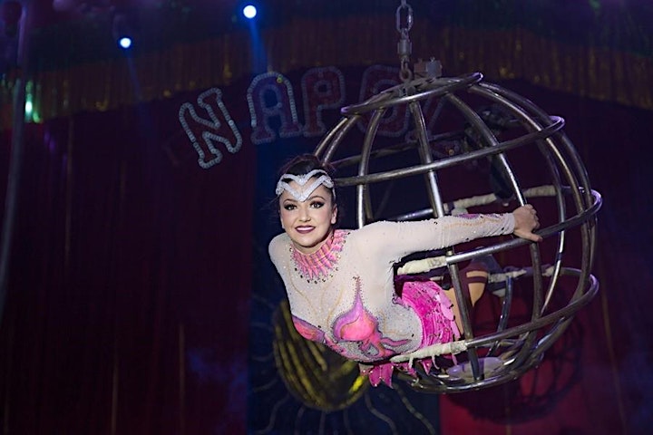 Imagem do evento Desconto! Circo Di Napoli apresenta DISNEY MAGIC SHOW
