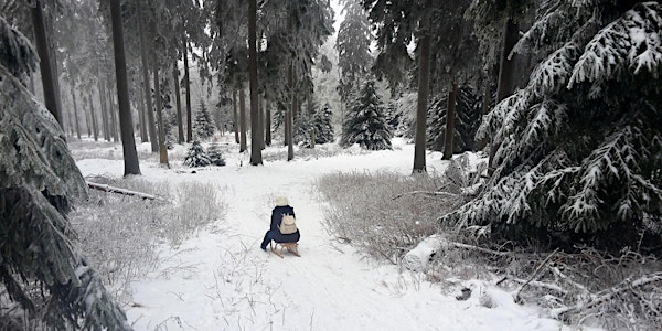 Sa,29.01.22 Wanderdate Schlittengaudi im Taunus für 25-49