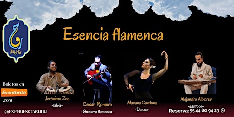 Imagen principal de Ocaso sonoro 13: Esencia Flamenca