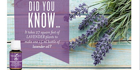 Young Living Essential Oils Information Night primary image