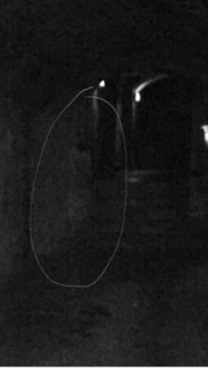 
		Paranormal Investigation at  South Bridge Vaults image
