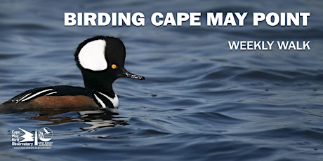 Birding Cape May Point tickets