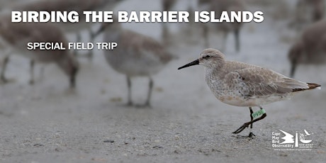 Birding on the Barrier Islands tickets