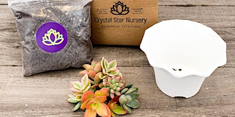 DIY Succulent Kit Hosted by Crystal Star Nursery
