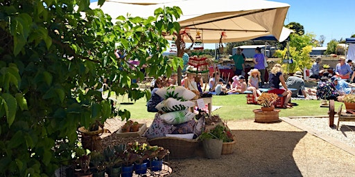 The Mulberry Tree Festival