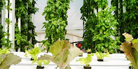 Hydroponics and Vertical Farming tickets