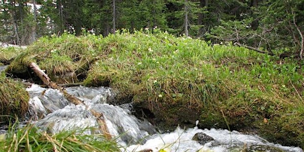Sustaining our Headwaters Forum