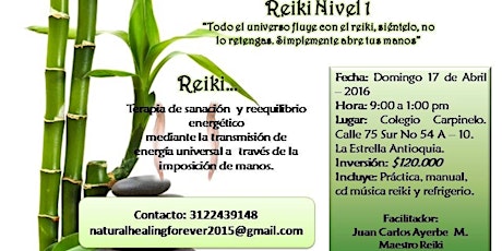 Imagen principal de Taller de Reiki Nivel 1