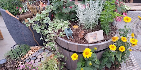 Design Your Own Container Garden (ages 8+) - 9 AM primary image