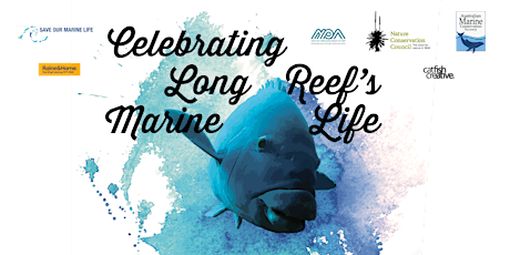 Celebrating Long Reef's Marine Life primary image