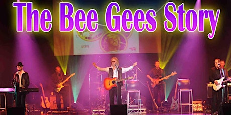 Johnny Hero's Big Night Out. The Bee Gees Story - Nights on Broadway primary image