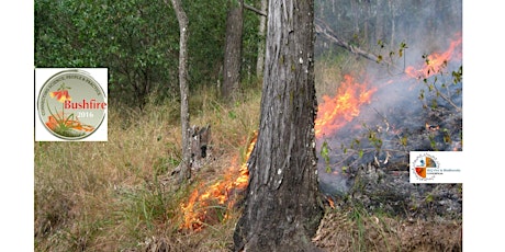 Bushfire 2016 primary image