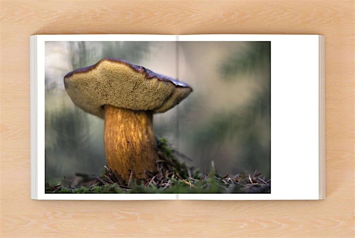 Afbeelding van Lezing Jan Vermeer over paddenstoelenfotografie