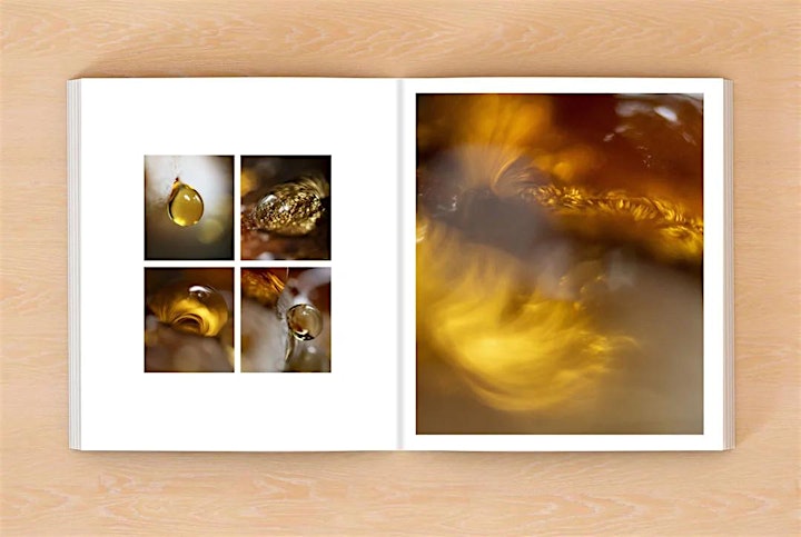 Afbeelding van Presentatie nieuw boek Jan Vermeer over paddenstoelen