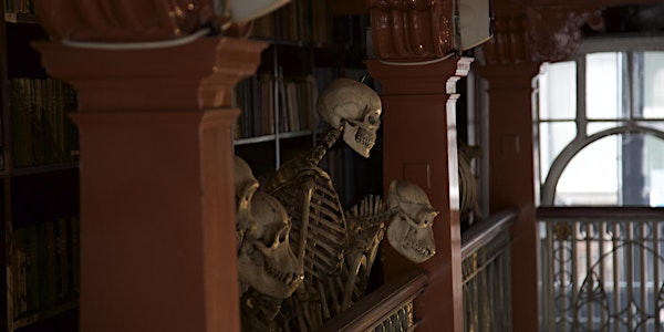 Theatrically Re-imagining Collections: a seminar day