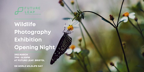 Future Leap's Wildlife Photography Exhibition - Opening Night tickets
