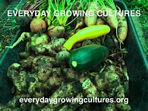 Everyday Growing Cultures: public event + films