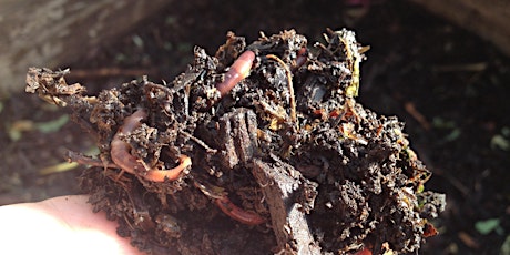 Worm-Powered Composting at Home primary image