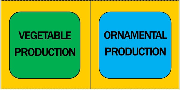COMMERCIAL - WPS Train-The-Trainer Workshop (Balm)