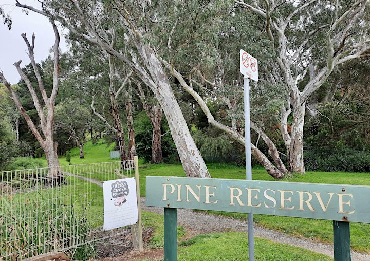 
		Pine Reserve Nature Walk image
