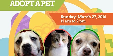 Contra Costa Humane Society Dog and Cat Adoption Event primary image