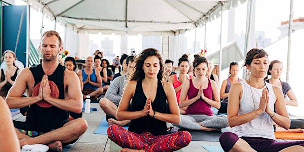 Sweat, Heal, and Meditate! Free Yoga!