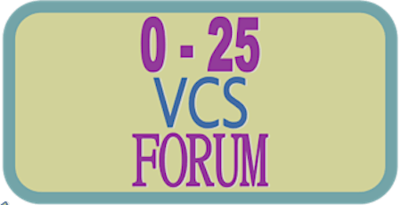 0-25 VCS Forum - Launch of Digital Pathways tickets