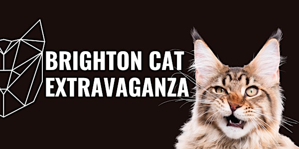 LCWW Cat Extravaganza in Brighton