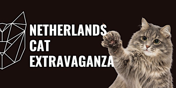 LCWW Cat Extravaganza in Netherlands