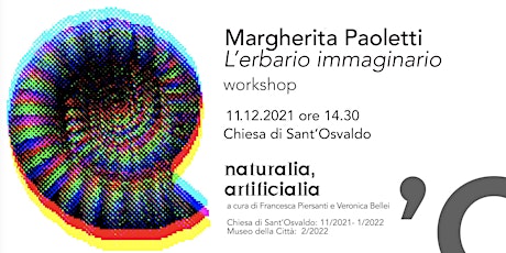 Immagine principale di Margherita Paoletti, "L'erbario immaginario" / Workshop d'artista 