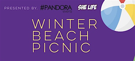 Winter Beach Picnic