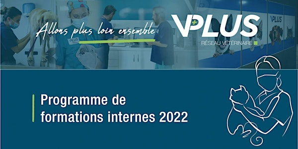 Cardiologie "Dernières recommandations du consensus ACVIM autour de la MVD"