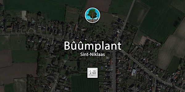 Bûûmbos Sint - Niklaas
