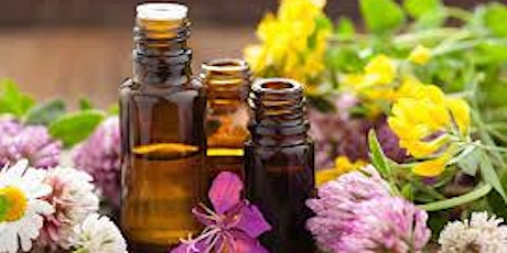 Wellness with Essential Oils *FREE* Hands On Training primary image