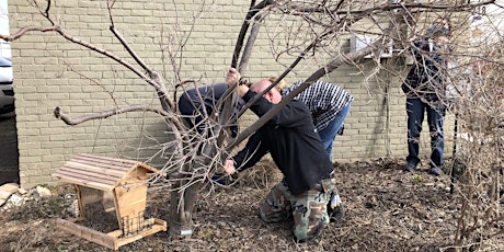 Beginner's Guide to Pruning in Oklahoma tickets