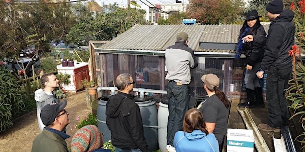 Rainwater Harvesting