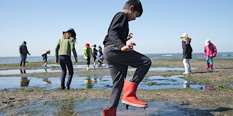 Find Junior Ranger bookings on JuniorRangers.com.au! primary image