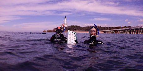 Youth For Nature - Citizen Science Fish Count Snorkel - Point Lonsdale tickets