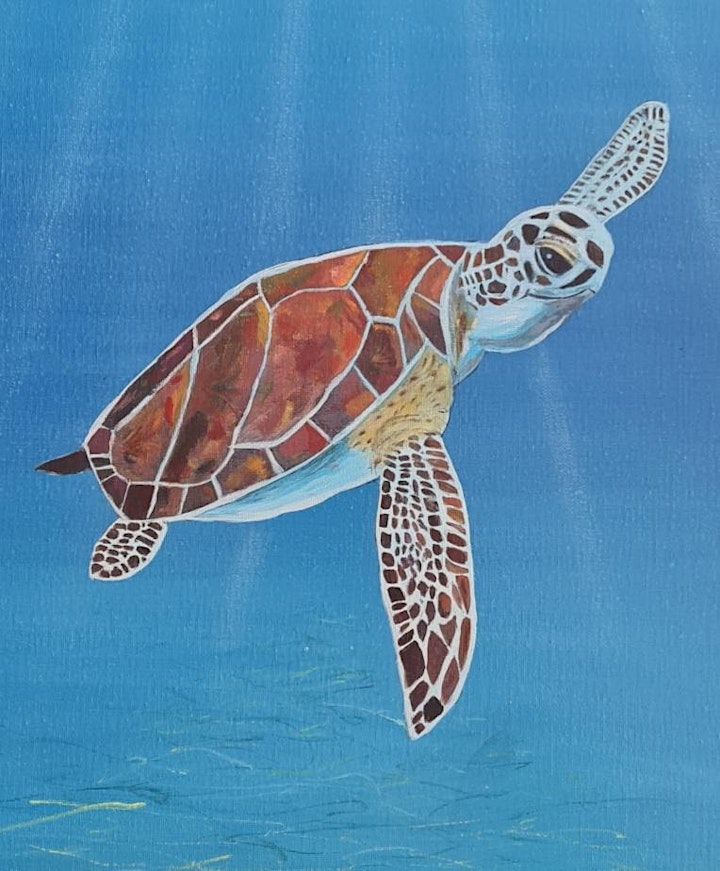 
		Paint and Sip- Turtle image
