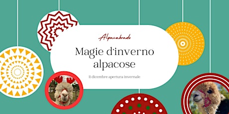 Meet My Alpaca: magia d'inverno 18 dicembre