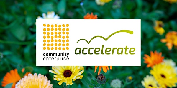 Accelerate – Webinar on applying for free business & organisational support