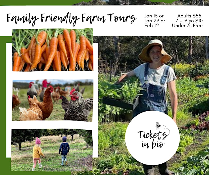 Farm Tour on Bruny Island with Naturally Well with Jo image