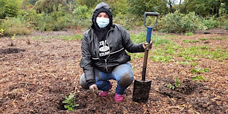 Dig it, Plant it, Do it Again! Volunteer Planting at Hidden Glen Park