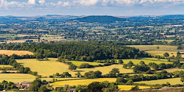 Rewilding Dorset