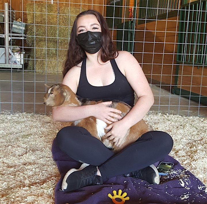 Goat Yoga with Wine & Cheese Tasting image
