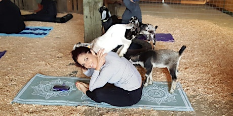 Goat Yoga with Wine & Cheese Tasting tickets