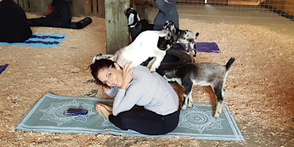 Goat Yoga with Wine & Cheese Tasting